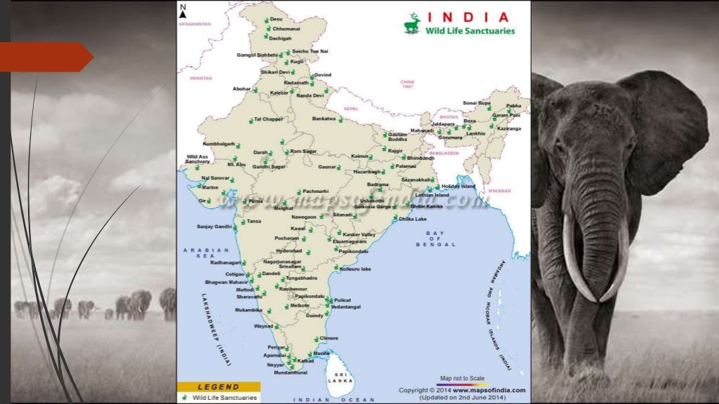 Presentation on Wildlife Conservation