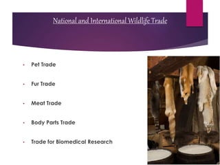 National and International Wildlife Trade
• Pet Trade
• Fur Trade
• Meat Trade
• Body Parts Trade
• Trade for Biomedical Research
 