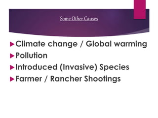 Some Other Causes
Climate change / Global warming
Pollution
Introduced (Invasive) Species
Farmer / Rancher Shootings
 