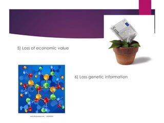 5) Loss of economic value
6) Loss genetic information
 