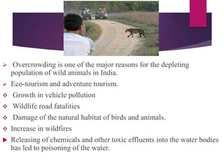  Overcrowding is one of the major reasons for the depleting
population of wild animals in India.
 Eco-tourism and adventure tourism.
 Growth in vehicle pollution
 Wildlife road fatalities
 Damage of the natural habitat of birds and animals.
 Increase in wildfires
 Releasing of chemicals and other toxic effluents into the water bodies
has led to poisoning of the water.
 