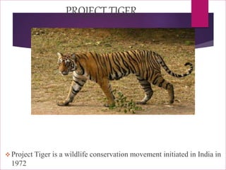 PROJECT TIGER
 Project Tiger is a wildlife conservation movement initiated in India in
1972
 