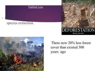 Habitat Loss
• Second most critical factor in
species extinction.
•
There now 20% less forest
cover than existed 300
years ago
 