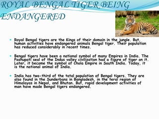 ROYAL BENGAL TIGER BEING
ENDANGERED
 Royal Bengal tigers are the Kings of their domain in the jungle. But,
human activities have endangered animals Bengal tiger. Their population
has reduced considerably in recent times.
 Bengal tigers have been a national symbol of many Empires in India. The
Pashupati seal of the Indus valley civilization had a figure of tiger on it.
Later, it became the symbol of Chola Empire in South India. Today, it
is the national animal of India.
 India has two-third of the total population of Bengal tigers. They are
also found in the Sunderbans in Bangladesh, in the terai region of
Himalayas in Nepal, and Bhutan. But, rapid development activities of
man have made Bengal tigers endangered.
 