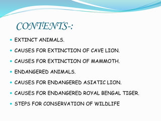 CONTENTS-:
 EXTINCT ANIMALS.
 CAUSES FOR EXTINCTION OF CAVE LION.
 CAUSES FOR EXTINCTION OF MAMMOTH.
 ENDANGERED ANIMALS.
 CAUSES FOR ENDANGERED ASIATIC LION.
 CAUSES FOR ENDANGERED ROYAL BENGAL TIGER.
 STEPS FOR CONSERVATION OF WILDLIFE
 