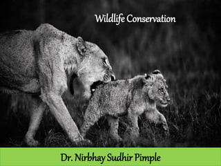 Dr. Nirbhay Sudhir Pimple
Wildlife Conservation
 