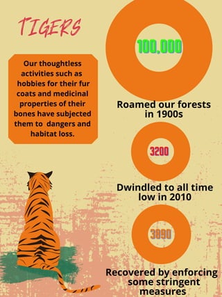 TIGERS
Roamed our forests
in 1900s
Dwindled to all time
low in 2010
Recovered by enforcing
some stringent
measures
100,000100,000100,000
389038903890
320032003200
Our thoughtless
activities such as
hobbies for their fur
coats and medicinal
properties of their
bones have subjected
them to dangers and
habitat loss.
 