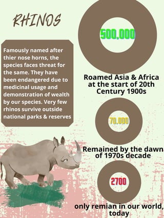 RHINOS
Roamed Asia & Africa
at the start of 20th
Century 1900s
Remained by the dawn
of 1970s decade
only remian in our world,
today
500,000500,000500,000
270027002700
70,00070,00070,000
Famously named after
thier nose horns, the
species faces threat for
the same. They have
been endangered due to
medicinal usage and
demonstration of wealth
by our species. Very few
rhinos survive outside
national parks & reserves
 