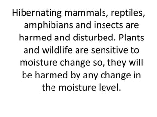 Hibernating mammals, reptiles,
amphibians and insects are
harmed and disturbed. Plants
and wildlife are sensitive to
moisture change so, they will
be harmed by any change in
the moisture level.
 