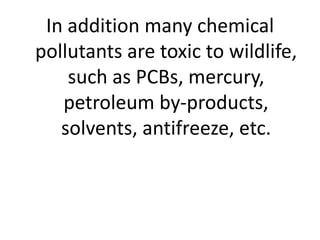 In addition many chemical
pollutants are toxic to wildlife,
such as PCBs, mercury,
petroleum by-products,
solvents, antifreeze, etc.
 