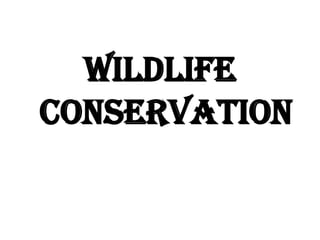 WILDLIFE
CONSERVATION
 