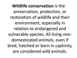 Wildlife conservation is the
preservation, protection, or
restoration of wildlife and their
environment, especially in
relation to endangered and
vulnerable species. All living non-
domesticated animals, even if
bred, hatched or born in captivity,
are considered wild animals.
 