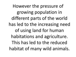 However the pressure of
growing population in
different parts of the world
has led to the increasing need
of using land for human
habitations and agriculture.
This has led to the reduced
habitat of many wild animals.
 
