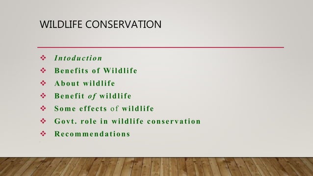 Wildlife Conservation Ppt Wildlife Conservation Ppt