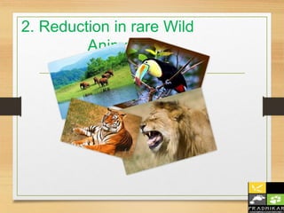 Wildlife conservation presentation | PPTX