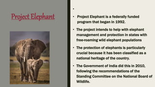Project Elephant
•
• Project Elephant is a federally funded
program that began in 1992.
• The project intends to help with elephant
management and protection in states with
free-roaming wild elephant populations
• The protection of elephants is particularly
crucial because it has been classified as a
national heritage of the country.
• The Government of India did this in 2010,
following the recommendations of the
Standing Committee on the National Board of
Wildlife.
 