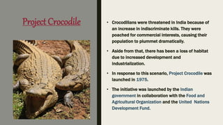 Project Crocodile • Crocodilians were threatened in India because of
an increase in indiscriminate kills. They were
poached for commercial interests, causing their
population to plummet dramatically.
• Aside from that, there has been a loss of habitat
due to increased development and
industrialization.
• In response to this scenario, Project Crocodile was
launched in 1975.
• The initiative was launched by the Indian
government in collaboration with the Food and
Agricultural Organization and the United Nations
Development Fund.
 