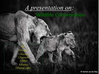 A presentation on: 
By: 
Group 1 
1.Naveen 
2.Neetesh 
3.Nilay 
4.Pankaj 
6.Pankaj yadav 
Wildlife Conservation 
 