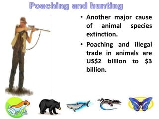 • Another major cause
of animal species
extinction.
• Poaching and illegal
trade in animals are
US$2 billion to $3
billion.
 