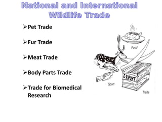 Pet Trade
Fur Trade
Meat Trade
Body Parts Trade
Trade for Biomedical
Research
 