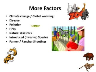More Factors
• Climate change / Global warming
• Disease
• Pollution
• Fires
• Natural disasters
• Introduced (Invasive) Species
• Farmer / Rancher Shootings
 