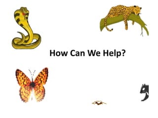 How Can We Help?
 