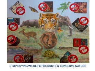 STOP BUYING WILDLIFE PRODUCTS & CONSERVE NATURE
 