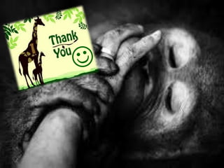 Wildlife conservation