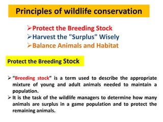 Principles of wildlife conservation
Protect the Breeding Stock
Harvest the "Surplus" Wisely
Balance Animals and Habitat
Protect the Breeding Stock
“Breeding stock” is a term used to describe the appropriate
mixture of young and adult animals needed to maintain a
population.
It is the task of the wildlife managers to determine how many
animals are surplus in a game population and to protect the
remaining animals.
 