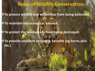 To protect wildlife and wilderness from being extincted.
To maintain the ecological balance.
To protect the biodiversity from being destroyed.
To provide excellent economic benefits (eg.horns,skin
etc.)
Roles of Wildlife Conservation
 