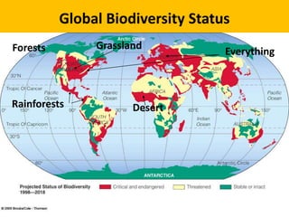 Global Biodiversity Status
Forests Grassland
Rainforests Desert
Everything
 