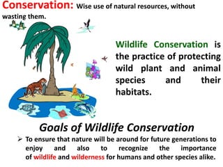 Wildlife conservation