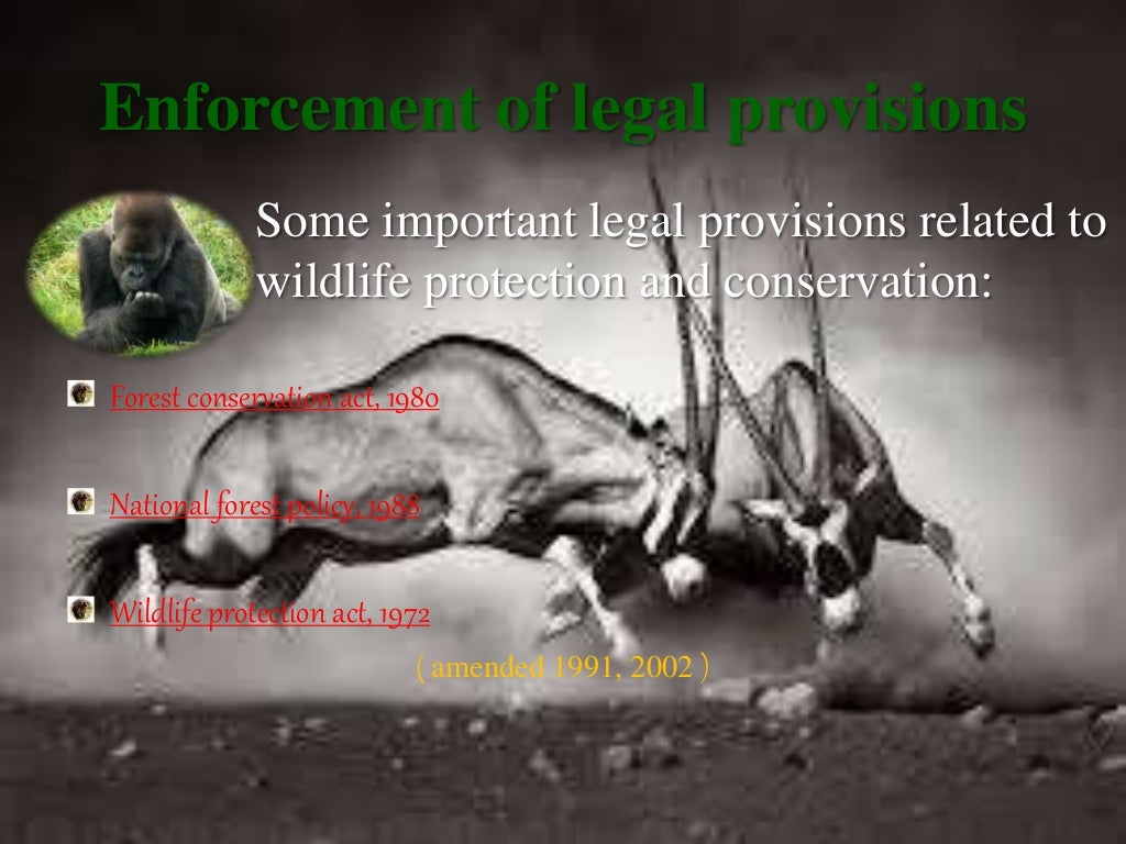 Wildlife conservation in India(ppt)