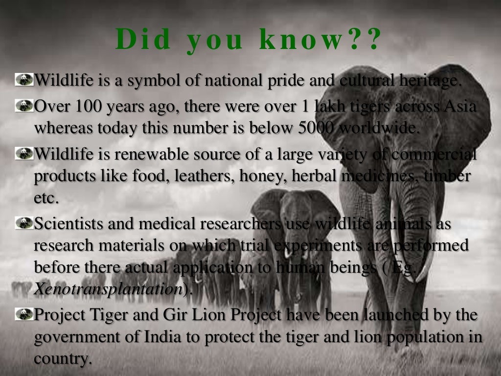 wildlife-conservation-in-india-ppt