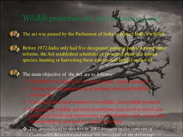 Download Ppt Presentation On Wildlife