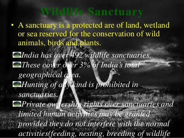 Download ppt on wildlife sanctuaries in india pdf