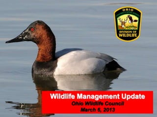 Wildlife Management Update
     Ohio Wildlife Council
        March 6, 2013
 