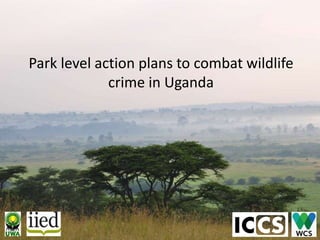 Park level action plans to combat wildlife
crime in Uganda
 