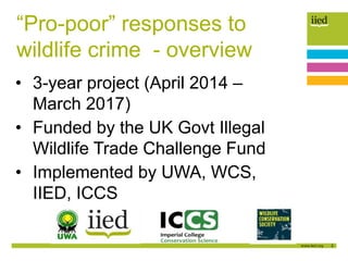2
“Pro-poor” responses to
wildlife crime - overview
• 3-year project (April 2014 –
March 2017)
• Funded by the UK Govt Ill...
