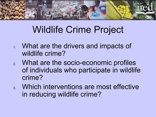 Wildlife Crime Project
1. What are the drivers and impacts of
wildlife crime?
2. What are the socio-economic profiles
of individuals who participate in wildlife
crime?
3. Which interventions are most effective
in reducing wildlife crime?
 
