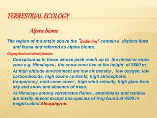 Wild life ecology | PPTX