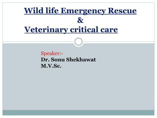 Wild life Emergency Rescue
&
Veterinary critical care
Speaker:-
Dr. Sonu Shekhawat
M.V.Sc.
 