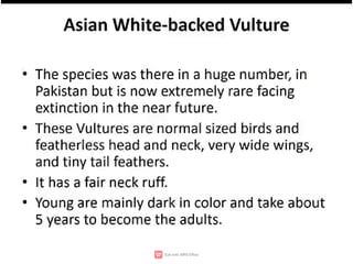 Wildlife,endangered species,