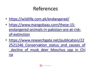 Wildlife,endangered species,
