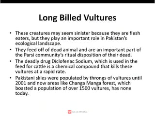 Wildlife,endangered species,