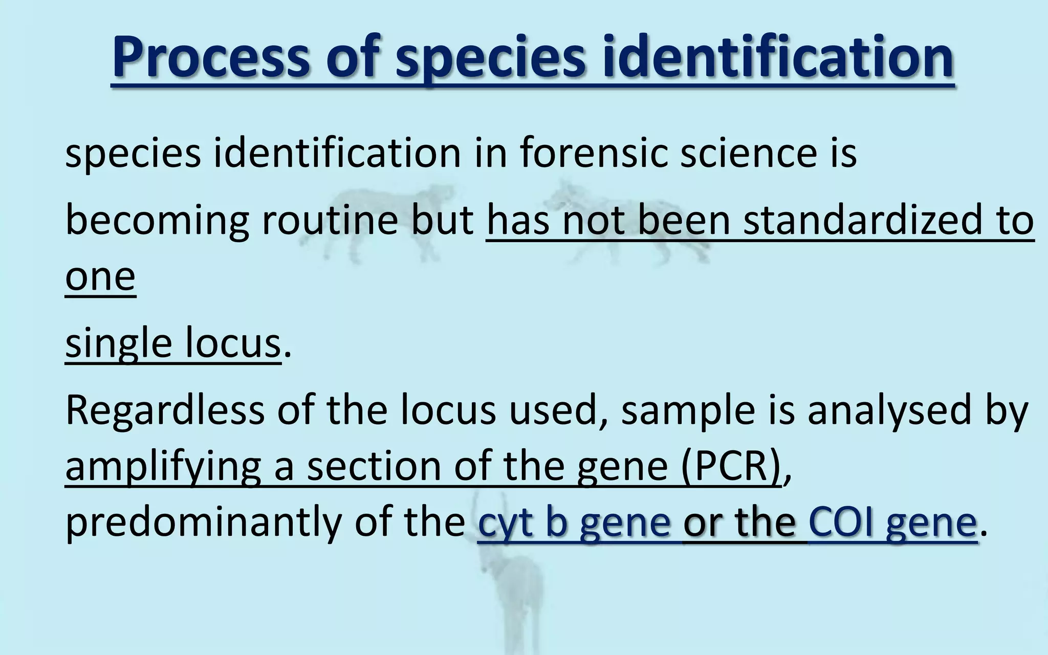Wild life forensics | PPTX