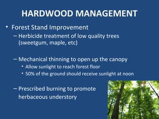 HARDWOOD MANAGEMENT
• Forest Stand Improvement
– Herbicide treatment of low quality trees
(sweetgum, maple, etc)
– Mechanical thinning to open up the canopy
• Allow sunlight to reach forest floor
• 50% of the ground should receive sunlight at noon
– Prescribed burning to promote
herbaceous understory
 