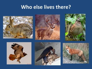 Who else lives there?
 