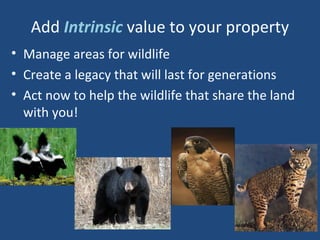 Add Intrinsic value to your property
• Manage areas for wildlife
• Create a legacy that will last for generations
• Act now to help the wildlife that share the land
with you!
 