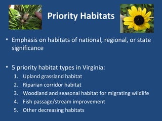 Priority Habitats
• Emphasis on habitats of national, regional, or state
significance
• 5 priority habitat types in Virginia:
1. Upland grassland habitat
2. Riparian corridor habitat
3. Woodland and seasonal habitat for migrating wildlife
4. Fish passage/stream improvement
5. Other decreasing habitats
 
